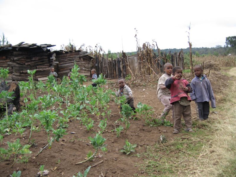 Kili (047) kids along trail